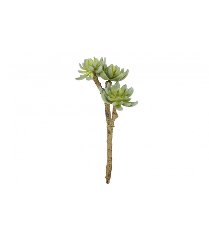 SUCULENTA 14*14*31CM 201147