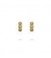 PENDIENTES ACERO CPE314
