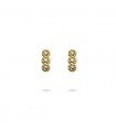 PENDIENTES ACERO CPE314