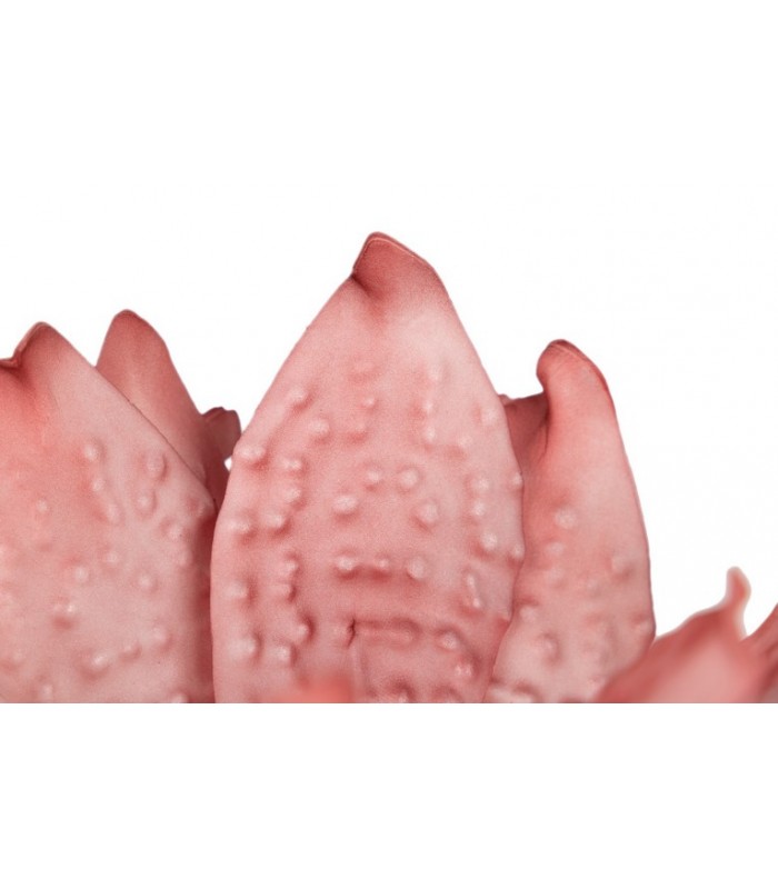 FLOR FOAM 105CM 225403/4/6