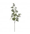 EUCALYPTUS VERDE 2386-69