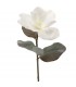 MAGNOLIA BLANCA 4306-11