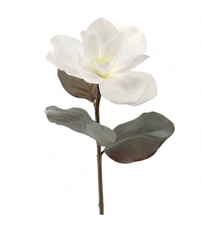 MAGNOLIA BLANCA 4306-11