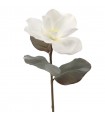 MAGNOLIA BLANCA 4306-11