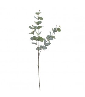 EUCALYPTUS VERDE 6030-69