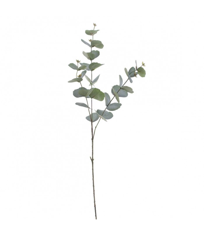 EUCALYPTUS VERDE 6030-69