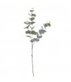 EUCALYPTUS VERDE 6030-69
