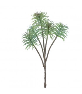 SENECIO X5 VERDE 6891-23