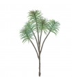 SENECIO X5 VERDE 6891-23