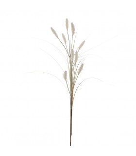 TYPHA CREMA 7656-01