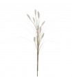 TYPHA CREMA 7656-01