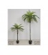 PLANTA PALMERA 110*110*160CM 472-897