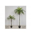 PLANTA PALMERA 110*110*160CM 472-897