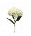 HORTENSIA 80* 165-0064