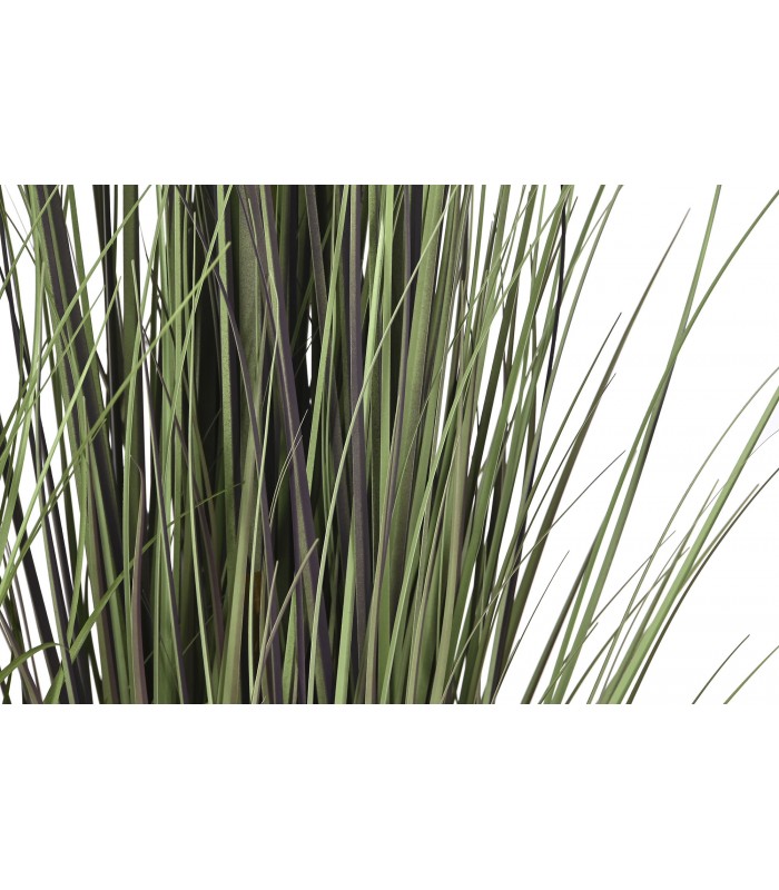 PLANTA COLA DE ZORRO 35*120CM JA-209891