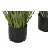 PLANTA COLA DE ZORRO 35*120CM JA-209891