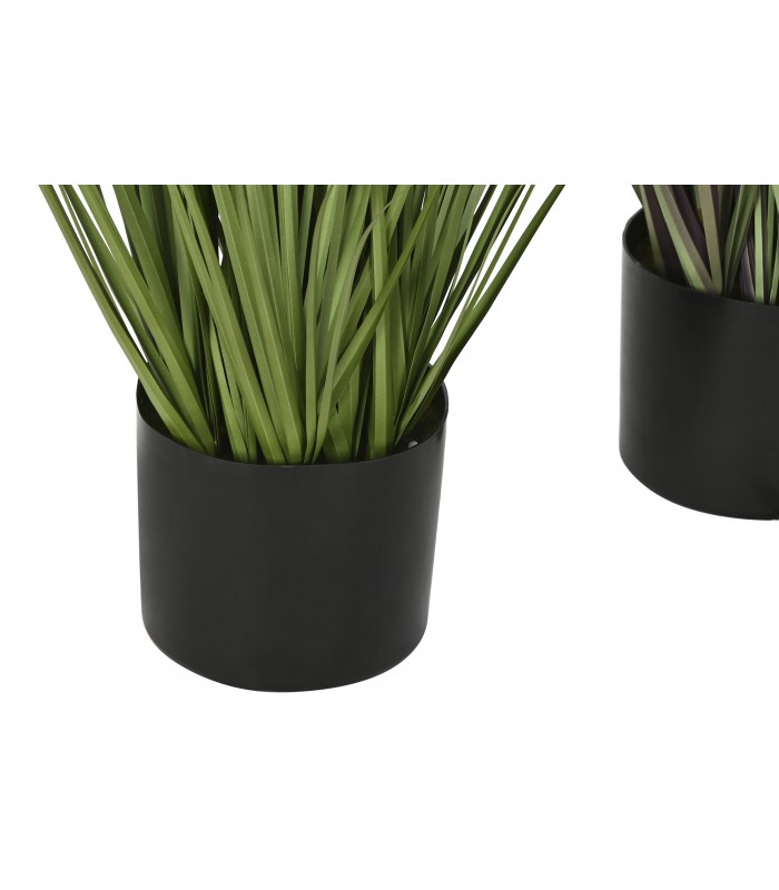 PLANTA COLA DE ZORRO 35*120CM JA-209891