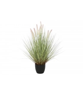 PLANTA COLA DE PERRO 50*90CM  JA-209883