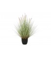 PLANTA COLA DE PERRO 50*90CM  JA-209883