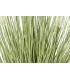 PLANTA COLA DE PERRO 50*90CM  JA-209883