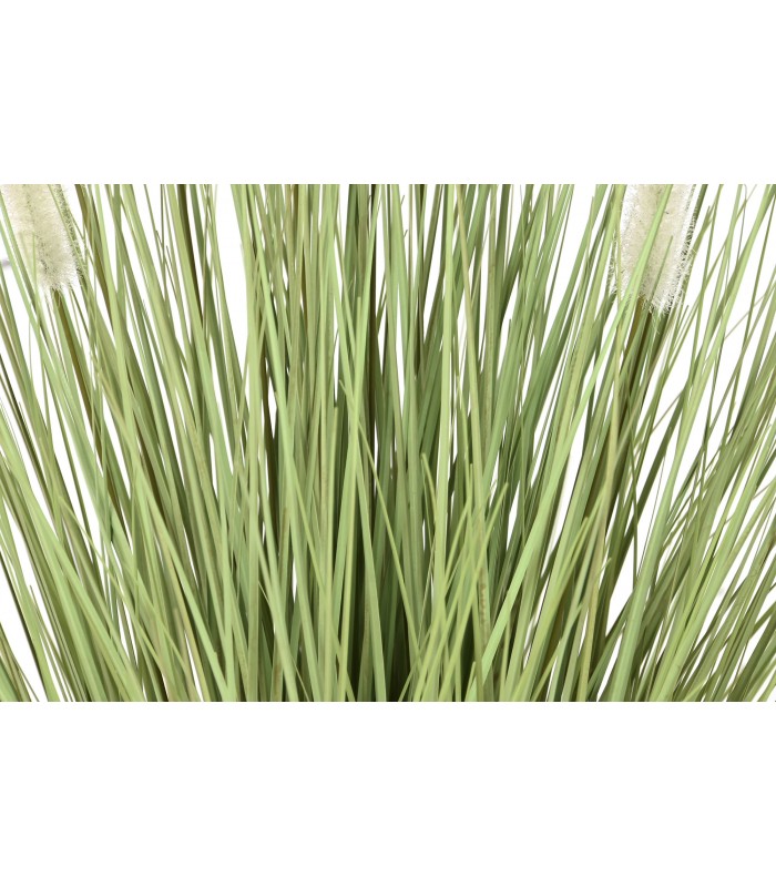 PLANTA COLA DE PERRO 50*90CM  JA-209883