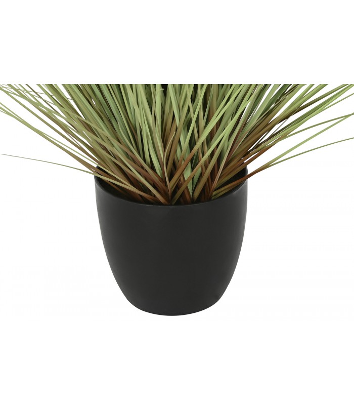 PLANTA COLA DE PERRO 50*90CM  JA-209883