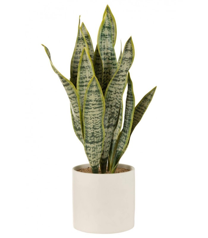 SANSEVIERIA 16*59CM 33023
