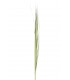 RAMA HIERBAS 10*157CM 83448