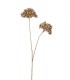 RAMO BAYAS 10*74CM 37562/71