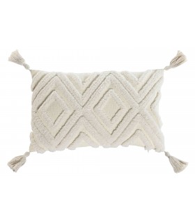 COJIN 50*30CM TX-215775