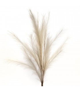 PAMPAS PLUMA X3 H110CM 158176