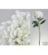HORTENSIA GIGANTE BLANCA 105CM 072-046