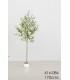PLANTA OLIVO 170CM 616-086