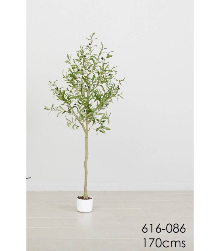 PLANTA OLIVO 170CM 616-086