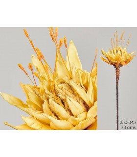 CACTUS REINA PEACH 73CM 350-045