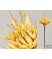 CACTUS REINA PEACH 73CM 350-045