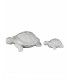 SET/2 TURTUGAS 25*18CM Y 18*14CM 221-6720