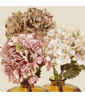 HORTENSIA ANTIC 55CM 71489