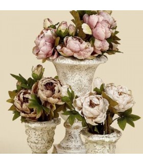 PEONIA 51CM 71495