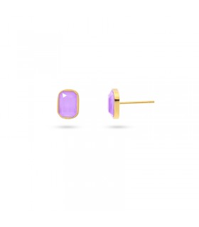 PENDIENTES ACERO Y ACRILICO BROMELIA DPE017