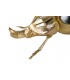 FIGURA ESCARABAJO RESINA ESPEJO 19x12x7CM 567580