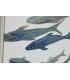 CUADRO LIENZO PECES 82.5*4*102.5CM CU-218132