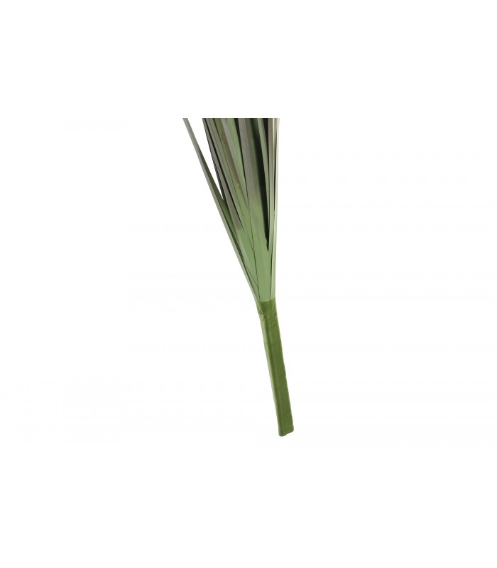 PLANTA CARRIZO 12*106CM JA-181933