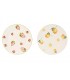 PLATO PORCELANA LIMONES 20*20*2CM PC-217514
