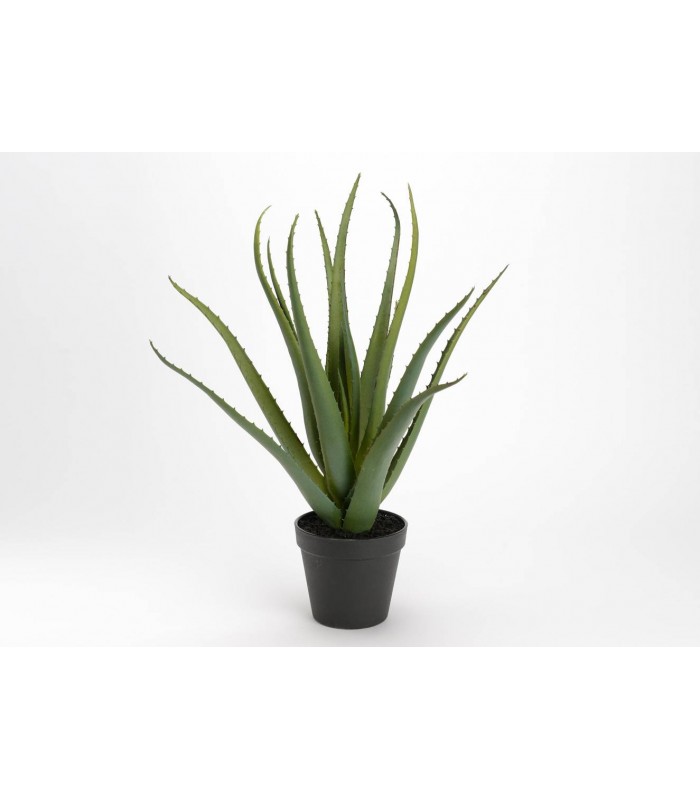 ALOE VERA 45CM 146890