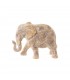 ELEFANTE NATURE INDIEN P 161358