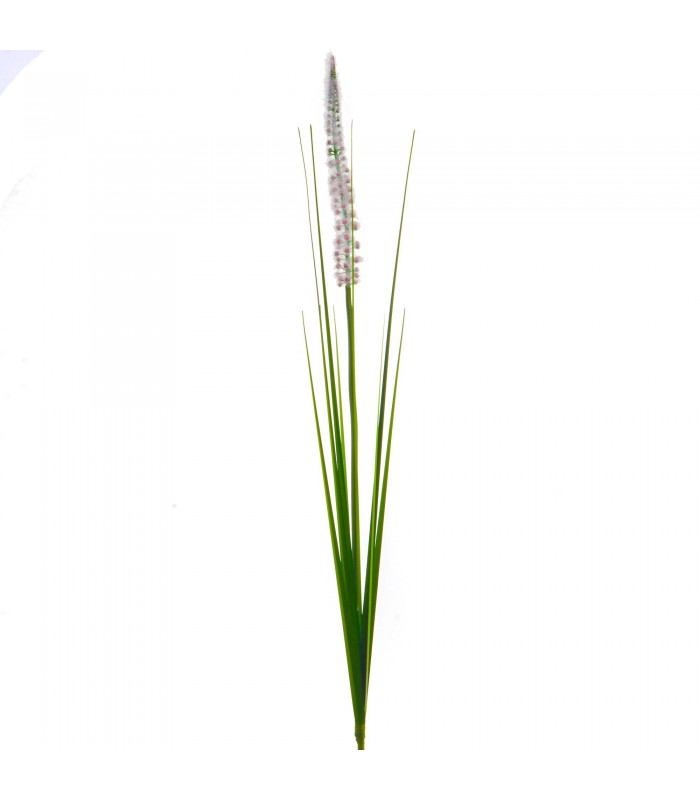 HIERBA JUNCO 110CM 164184
