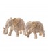 ELEFANTE NATURE INDIEN P 161359