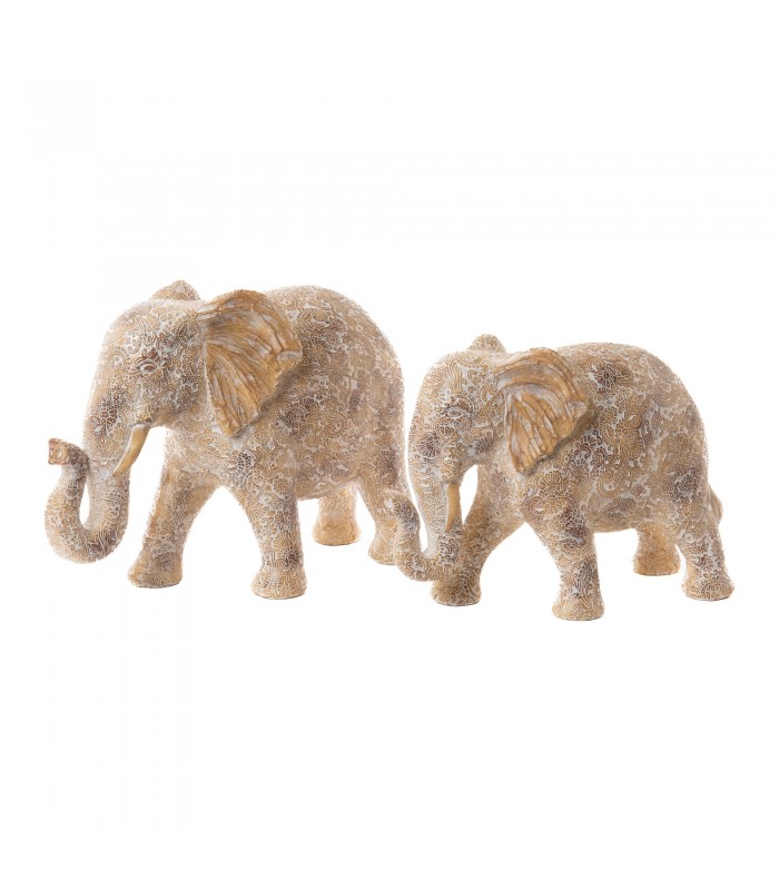 ELEFANTE NATURE INDIEN P 161359