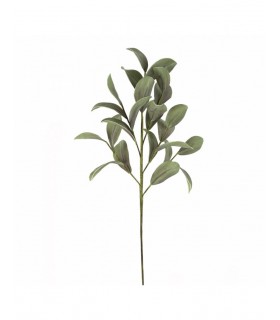 RAMA MAGNOLIA 110CM 148-2403